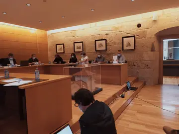Pleno municipal de Celanova do 23 de setembro de 2020