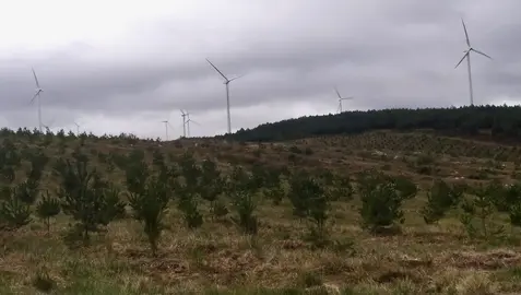 Aeroxeradores do P.E. O Vieiro, a quil&oacute;metro e medio do pol&iacute;gono proxectado por Bay Wa