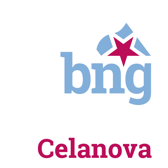 LogoBNG Celanova