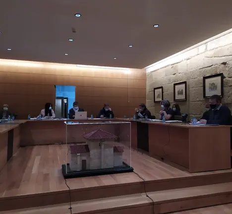 Imaxe dun pleno municipal no ano 2020 en Celanova