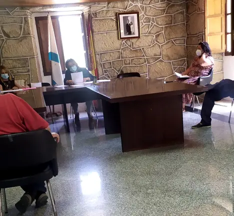 Pleno deste martes 15 na Bola. Vanessa Garc&iacute;a, na parte superior dereita da imaxe (2)