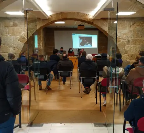 Charla informativa este s&aacute;bado en Celanova sobre a invasi&oacute;n e&oacute;lica