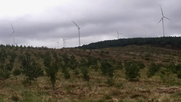 Aeroxeradores do P.E. O Vieiro, a quil&oacute;metro e medio do pol&iacute;gono proxectado por Bay Wa